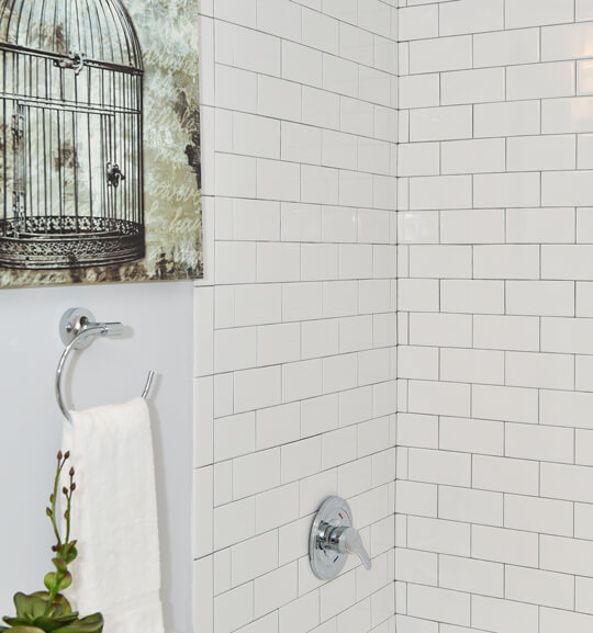 an oliver and wendell shower