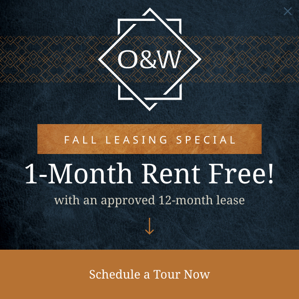 fall leasing special. 1-month rent free with an approved 12-month lease.